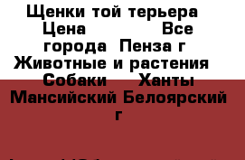 Щенки той терьера › Цена ­ 10 000 - Все города, Пенза г. Животные и растения » Собаки   . Ханты-Мансийский,Белоярский г.